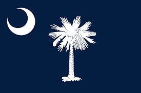 South Carolina License Plate Search