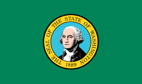 Washington License Plate Search